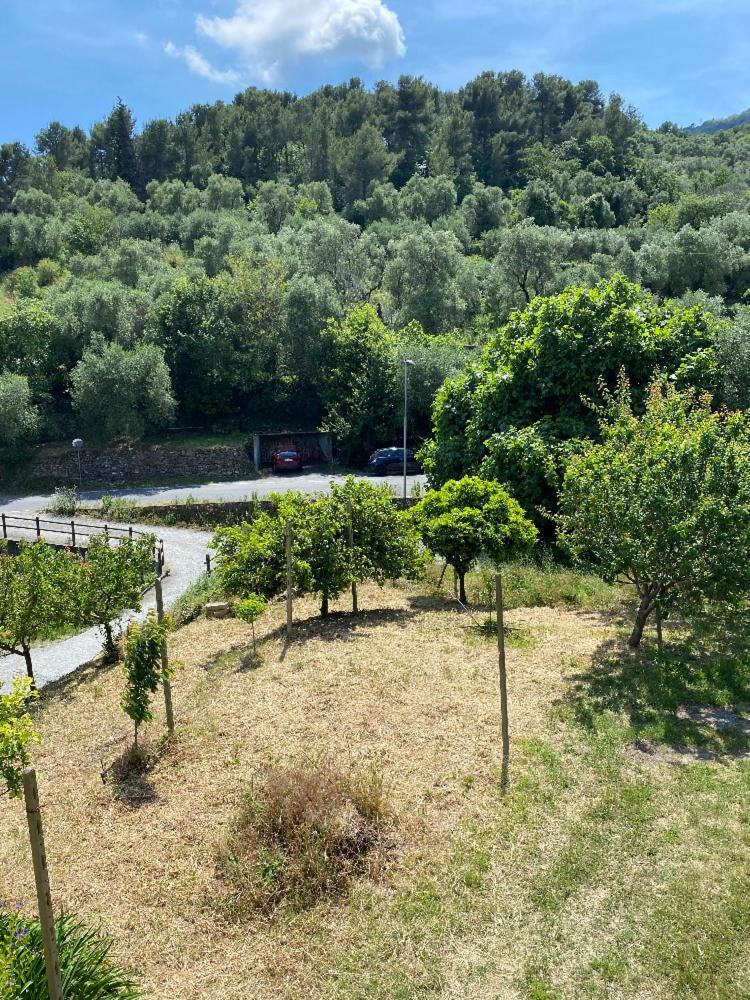 Appartamento Andora Tra Gli Ulivi Molino Nuovo  Exteriör bild